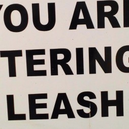 Leash free feature