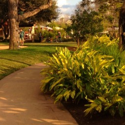 running path feature